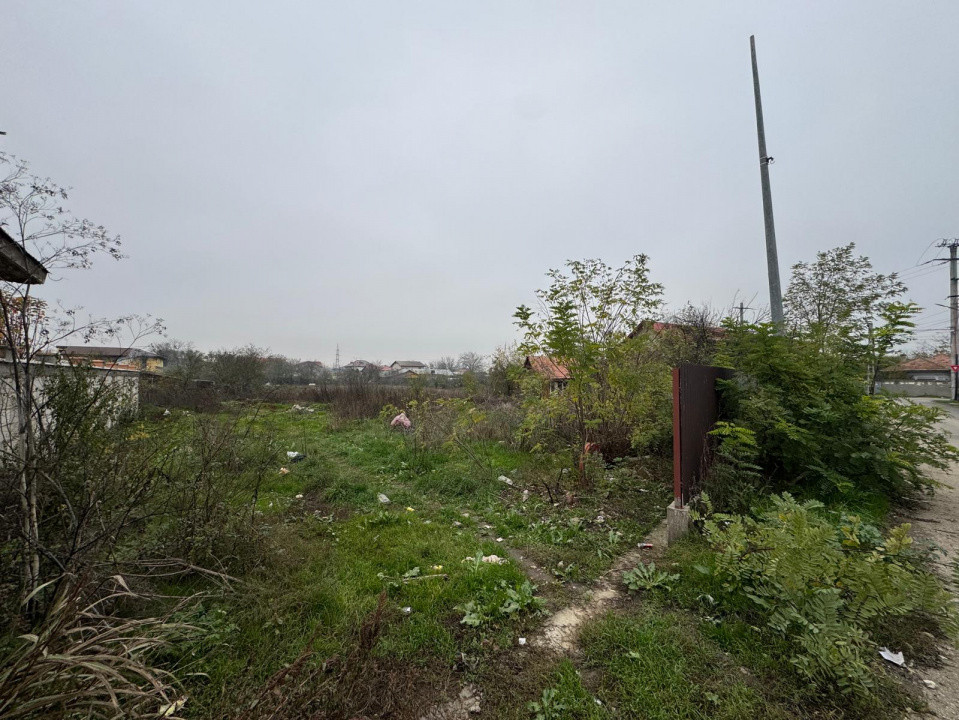 Teren 941 mp în Tânganu – Cernica | Acces rapid București & A2| 