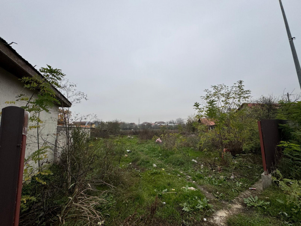 Teren 941 mp în Tânganu – Cernica | Acces rapid București & A2| 