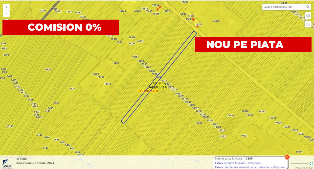 Teren agricol 12.500 mp | Deschidere directă DN61 | Dublu acces | Corbii Mari