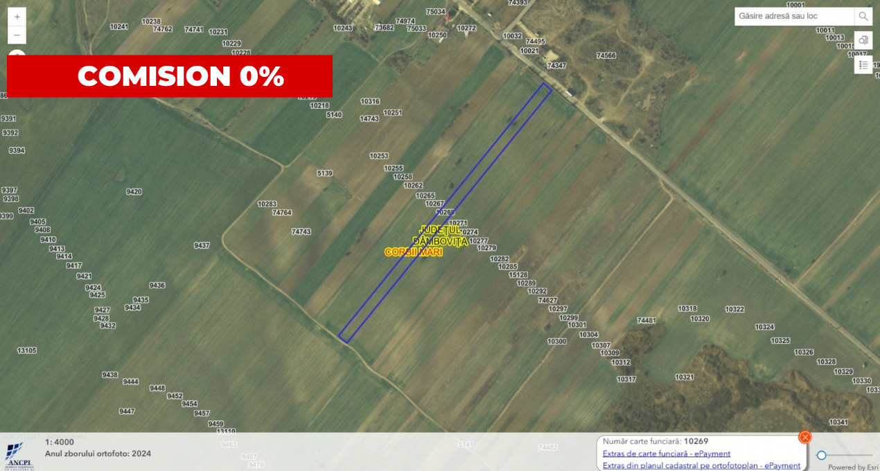Teren agricol 12.500 mp | Deschidere directă DN61 | Dublu acces | Corbii Mari