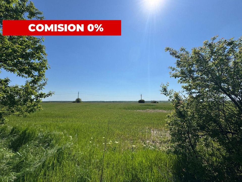 Teren agricol 12.500 mp | Deschidere directă DN61 | Dublu acces | Corbii Mari