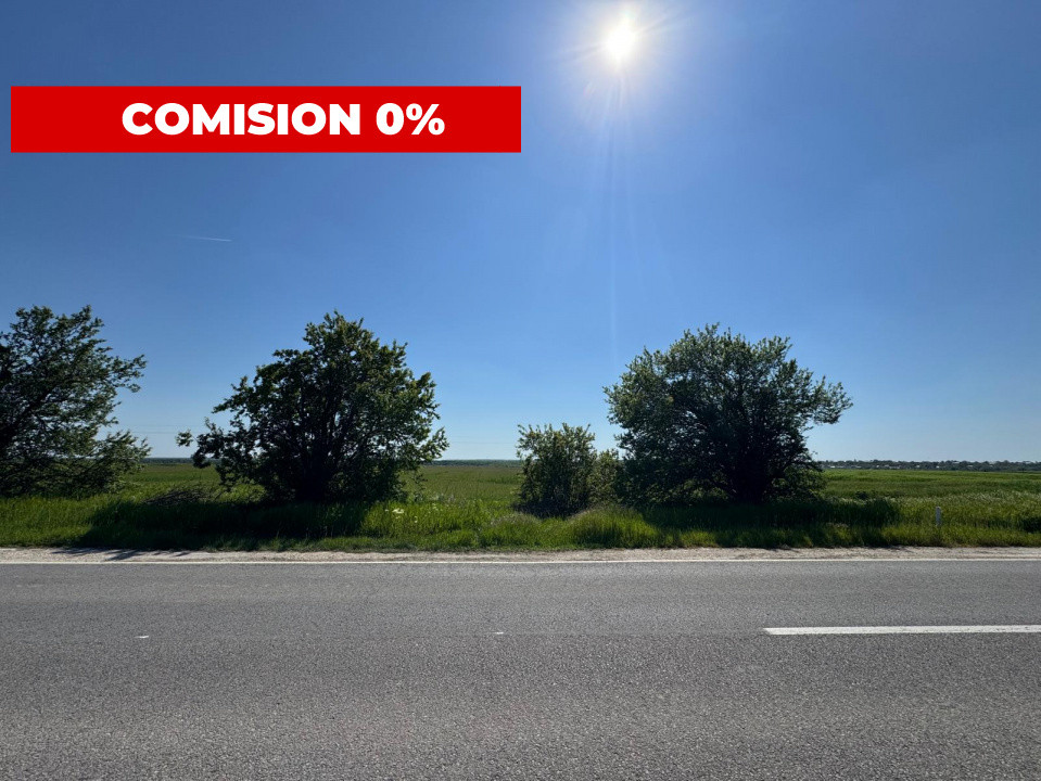 Teren agricol 12.500 mp | Deschidere directă DN61 | Dublu acces | Corbii Mari