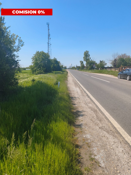 Teren agricol 12.500 mp | Deschidere directă DN61 | Dublu acces | Corbii Mari