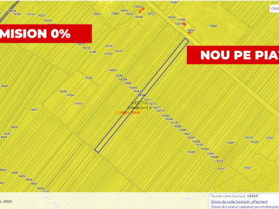 Teren agricol 12.500 mp | Deschidere directă DN61 | Dublu acces | Corbii Mari