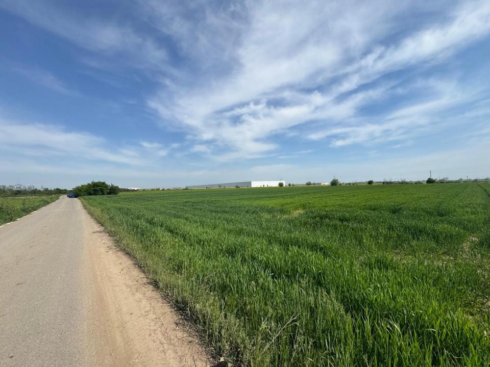 🚨 OPORTUNITATE| Teren intravilan 5.000 mp | Ghionea – Ulmi – Giurgiu |dubla D