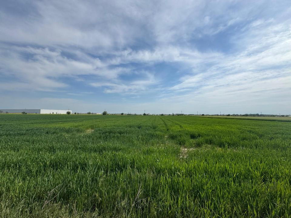 🚨 OPORTUNITATE| Teren intravilan 5.000 mp | Ghionea – Ulmi – Giurgiu |dubla D