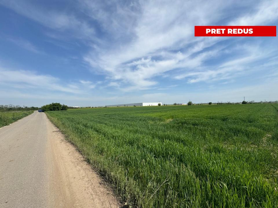 🚨 OPORTUNITATE| Teren intravilan 5.000 mp | Ghionea – Ulmi – Giurgiu |dubla D