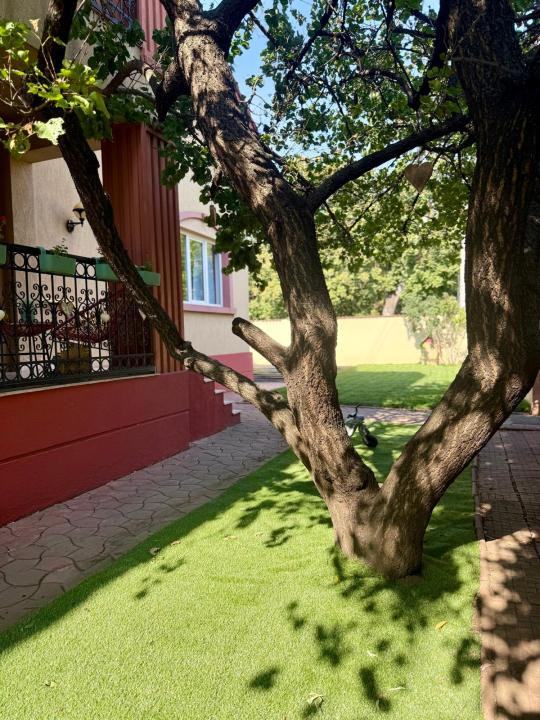 🏡 Vilă Damaroaia | 6 camere | Firmă, Cabinet, Afterschool