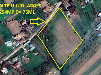 Teren 6.254 mp,Teiu –Intravilan,Deschidere 75 ml, Curent,Comision 0%